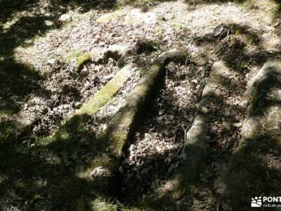 Valle de Mena -Las Merindades;sendero norte rutas navarra senderismo zapatillas para senderismo ruta